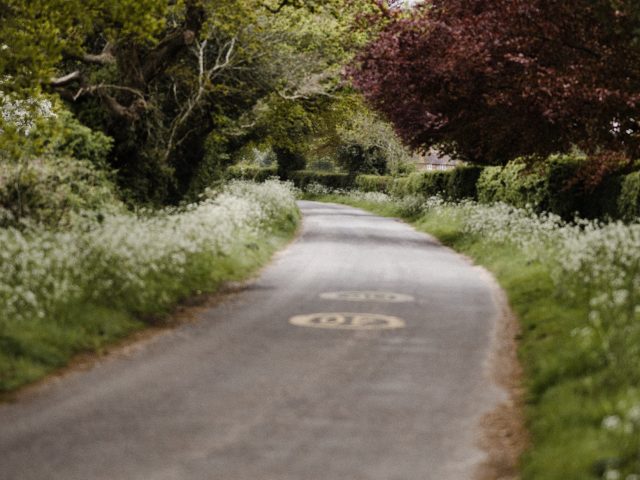 Country lane